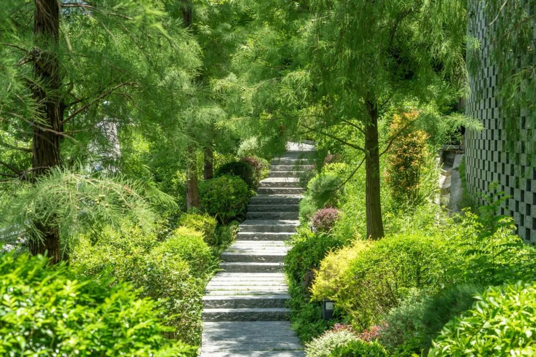 中国香港大埔区慈山寺周围绿色景观丨LWK+PARTNERS-24