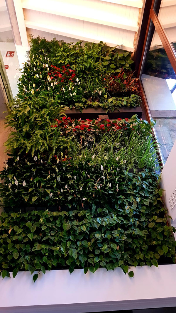 室内垂直花园-3
