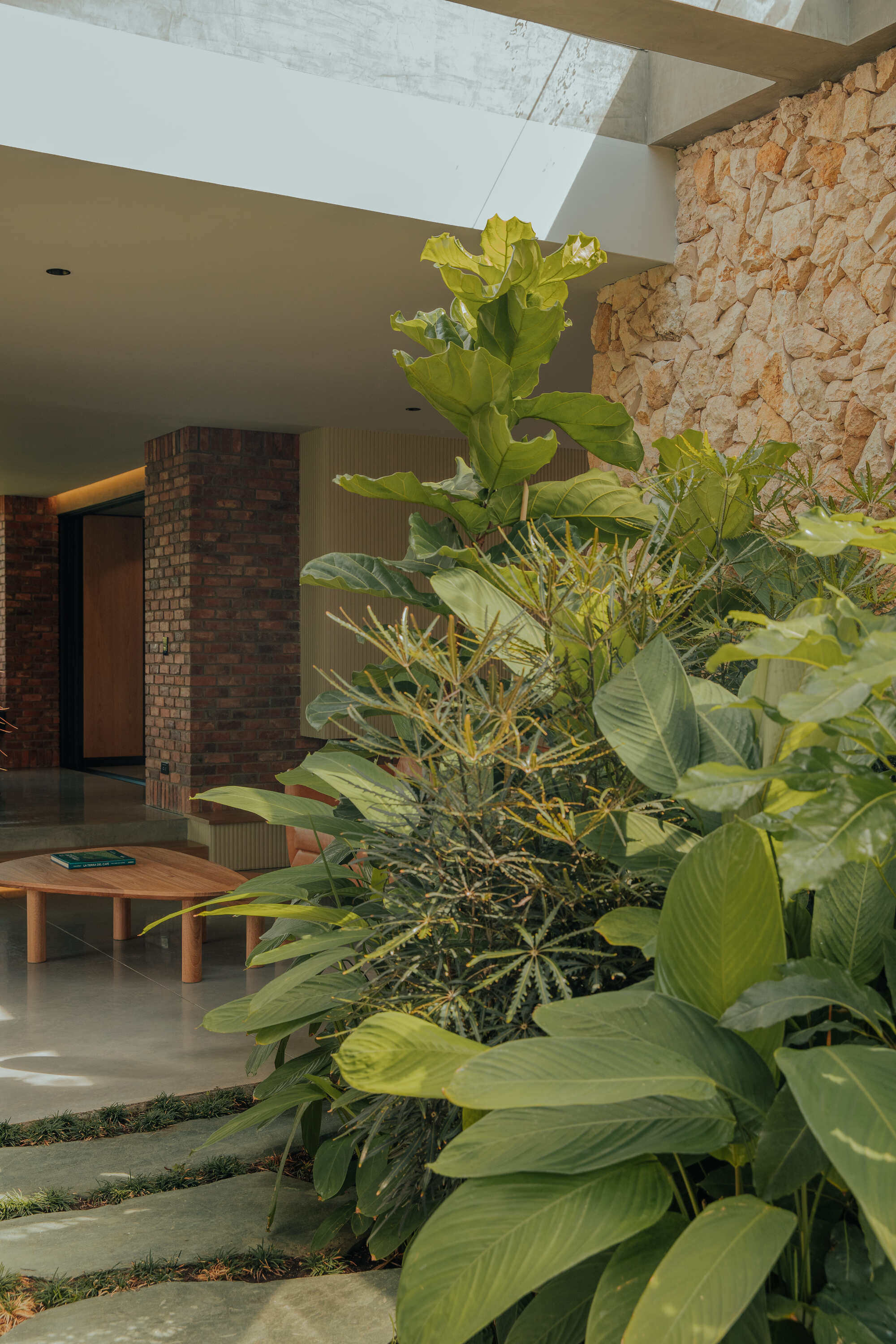 日落庇护所丨哥伦比亚丨Bon Studio-31