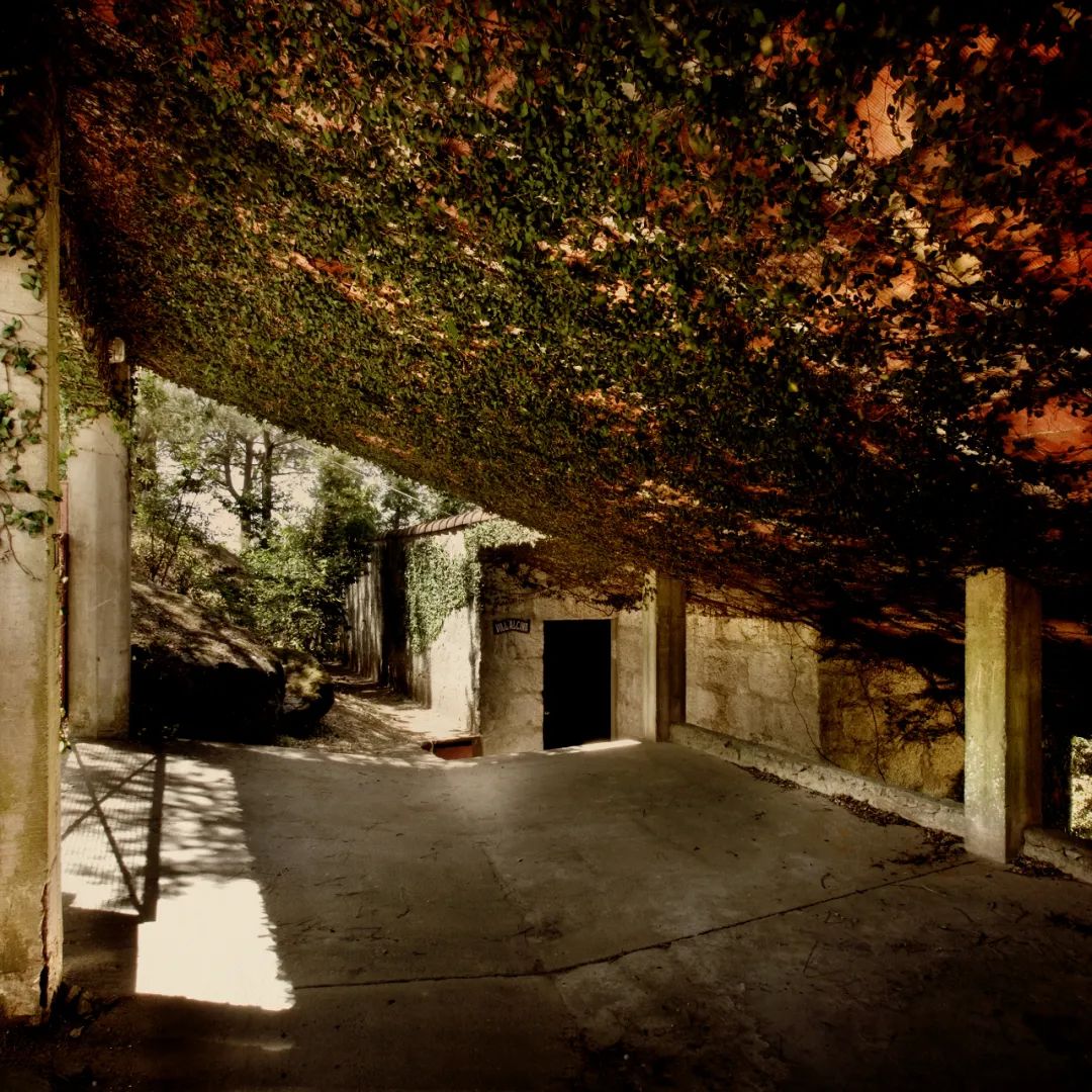 休斯·比列特丨比利时丨Huib Hoste-67