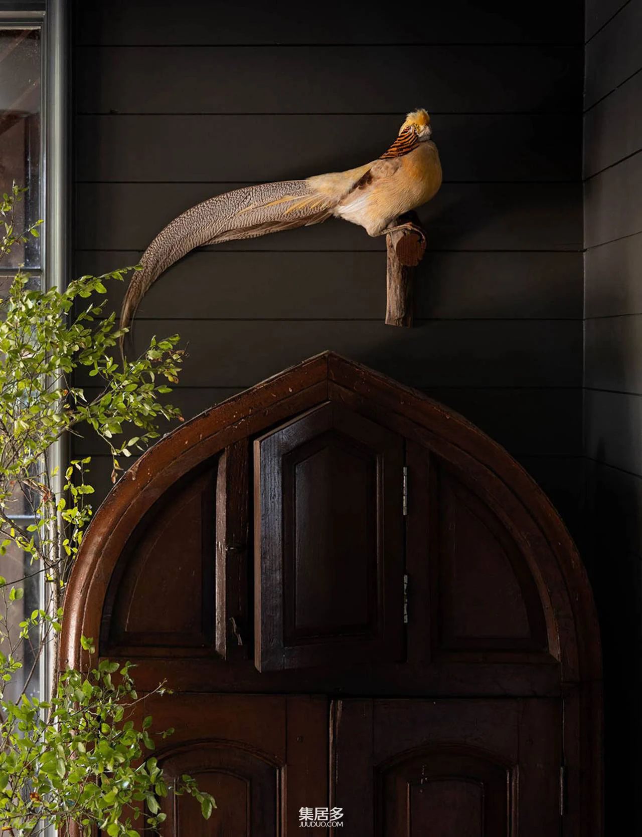 阿拉巴马州住宅丨美国阿拉巴马丨Sean Anderson-14