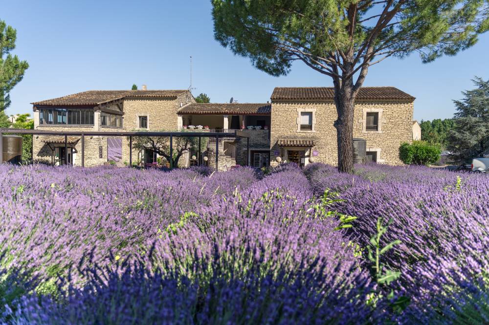 The Luberon Lavender Museum - France-5