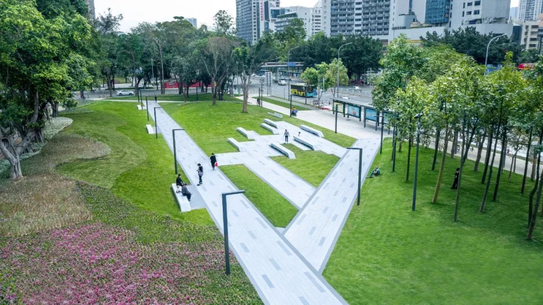 深圳罗湖“三横四纵”绿廊生活-15