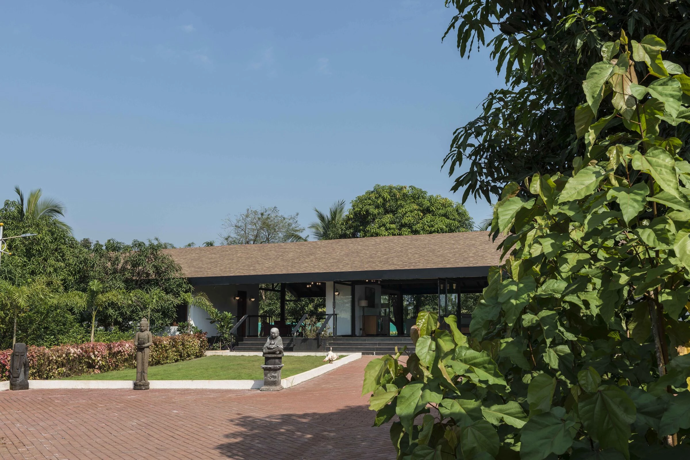 在芒果树下丨STUDIO Nishita Kamdar-14