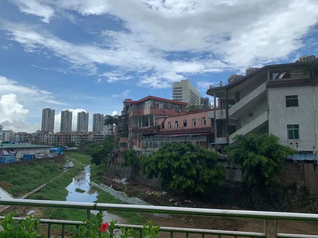 蓝白艺术院校丨中国深圳丨万社设计-13