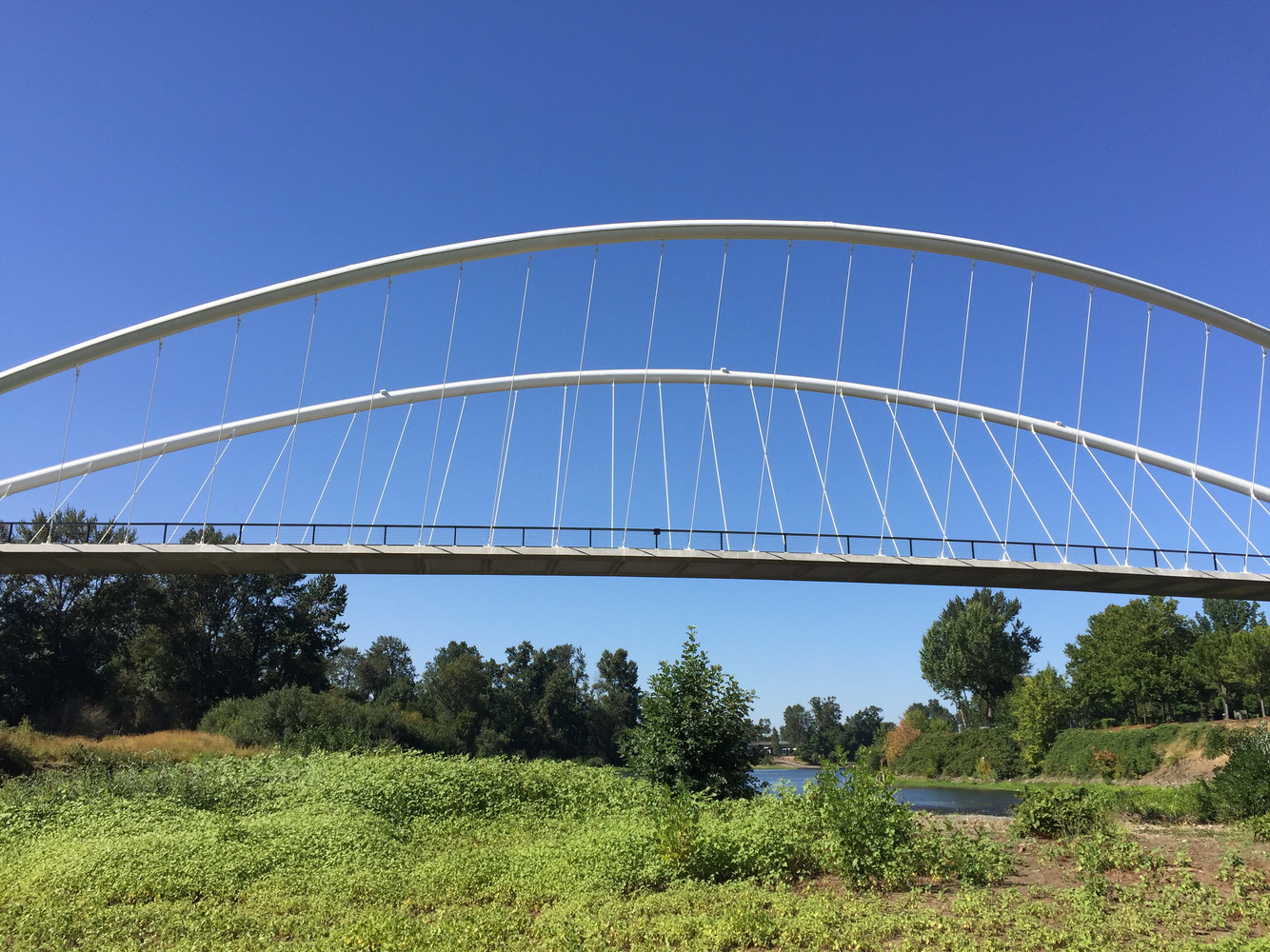 美国彼得·考特尼·明托岛自行车和人行天桥-27