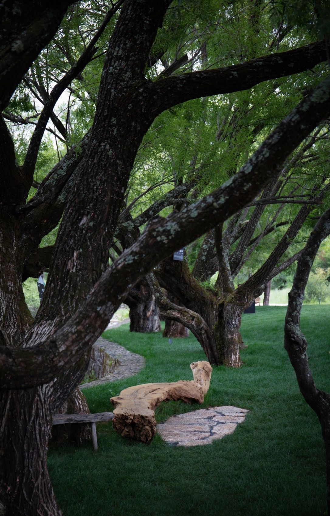 丽江地中海国际度假区·阿美泽雪山营地丨中国丽江丨栖地设计集团-32