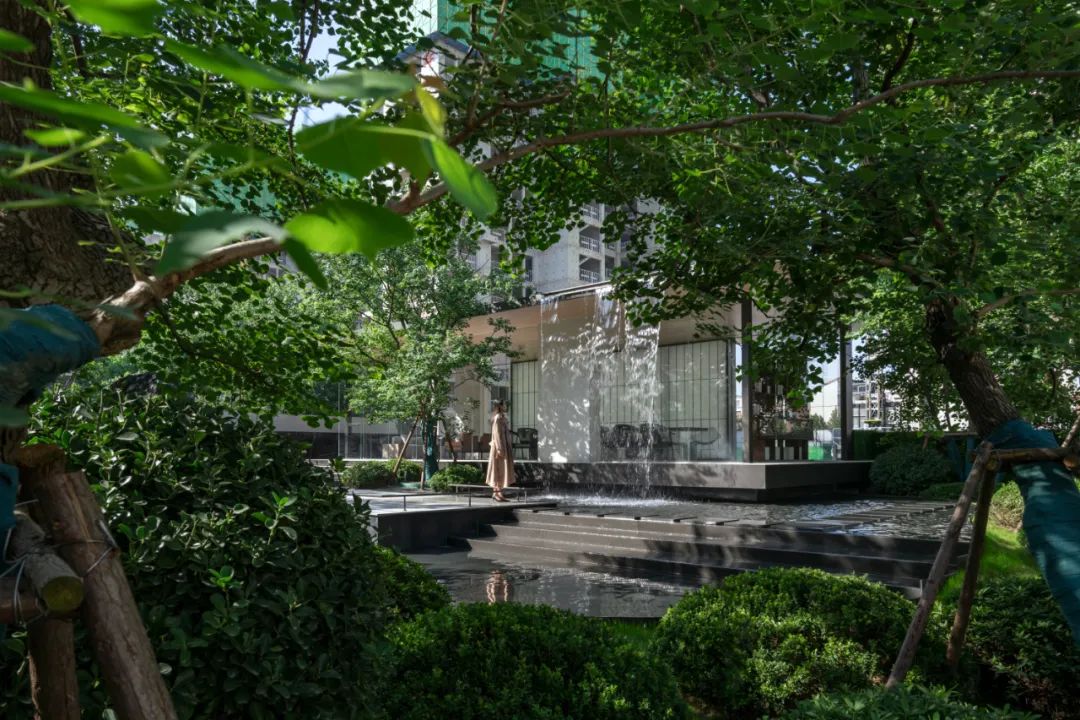 金沙操盘 | 成功经验：从河南火到全国各地（实地考察+主题演讲）-91