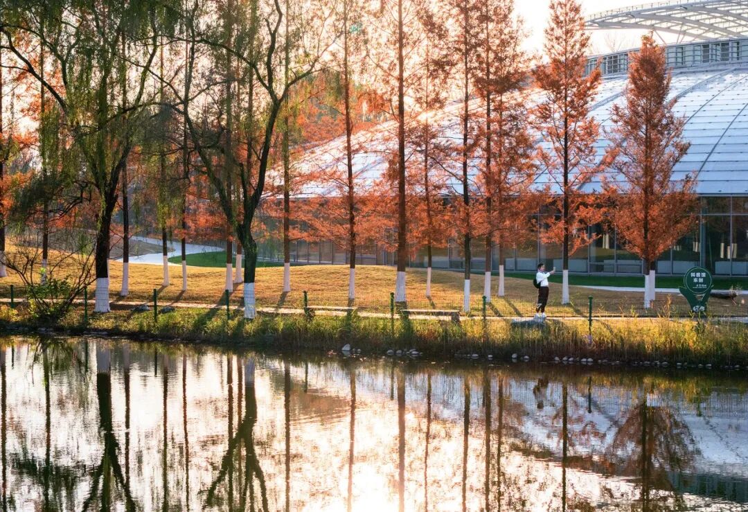济南植物园科普馆丨中国济南丨中国建筑设计研究院-6