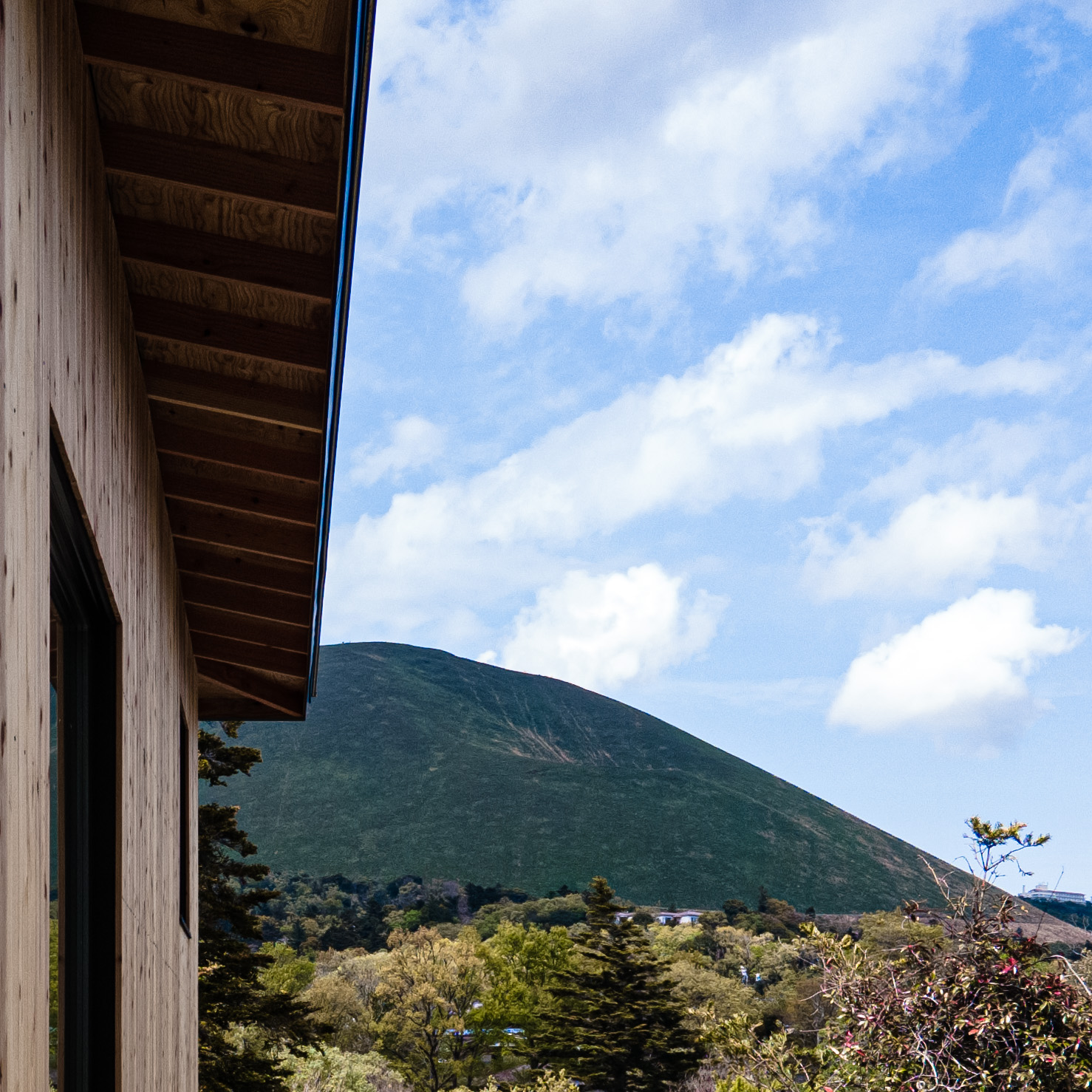 伊豆高原のI邸丨日本静冈丨Florian Busch Architects-42