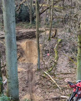 无处跳跃丨作者及其朋友