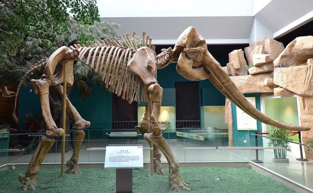 西安-- 甘肃-- 青海-- 西藏-- 云南环游之旅 | 诗和远方的田野-33