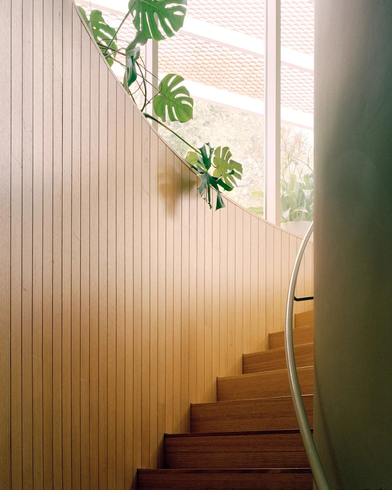 秋之屋丨澳大利亚墨尔本丨Bright Studio-44