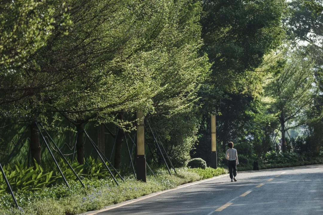 道远设计丨增城 金地&北辰·兰亭香麓 景观设计 丨中国广州-48