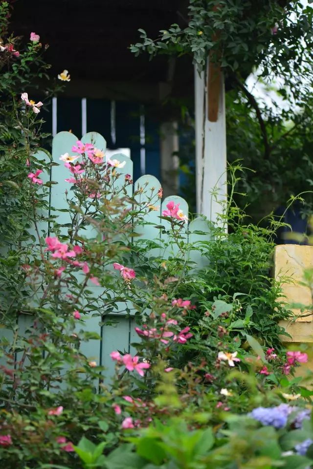 他建了座2亩的鲜花小院，满足你对花园的所有幻想-22