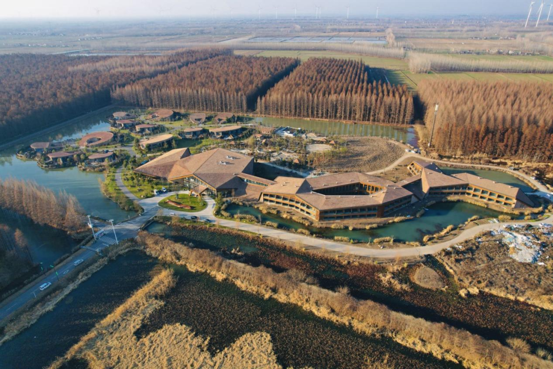 淮安君澜·金湖水上森林温泉度假酒店丨中国淮安丨中国美院风景建筑设计研究总院-8