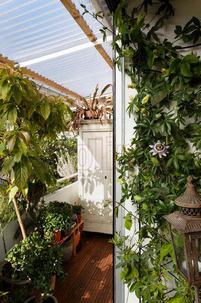 斯图加特旧建筑翻新及阁楼扩建丨德国斯图加特丨Sophia Feldkamp-6