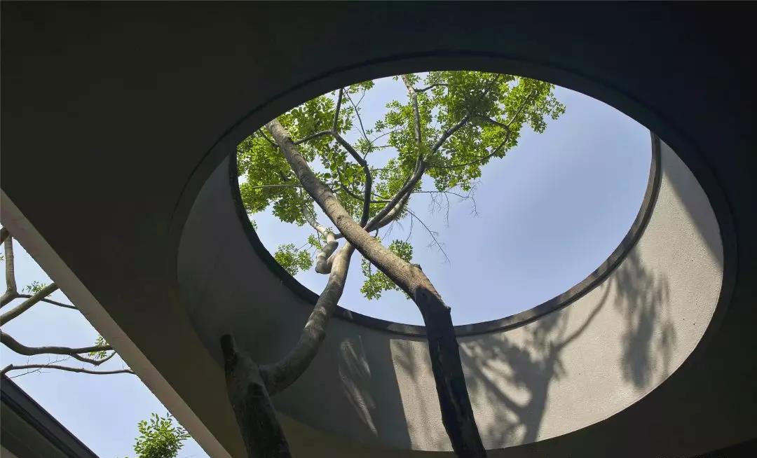 杭州富春开元芳草地乡村度假酒店-41