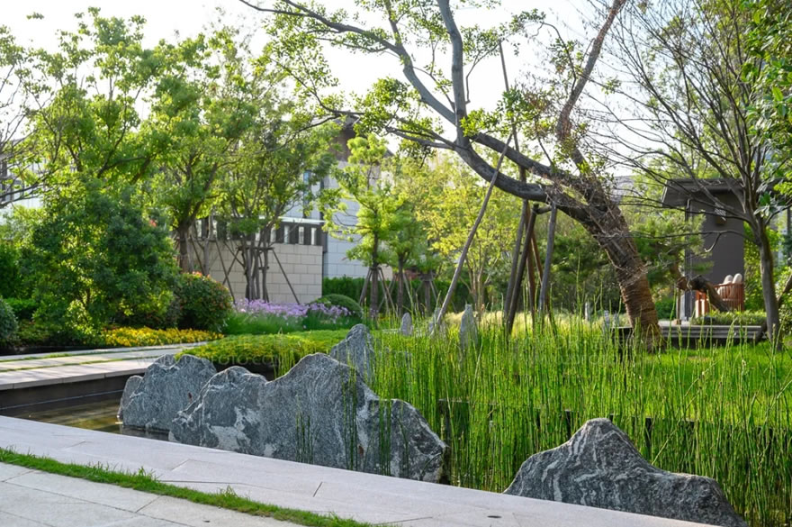 苏州鲁能泰山九号-82