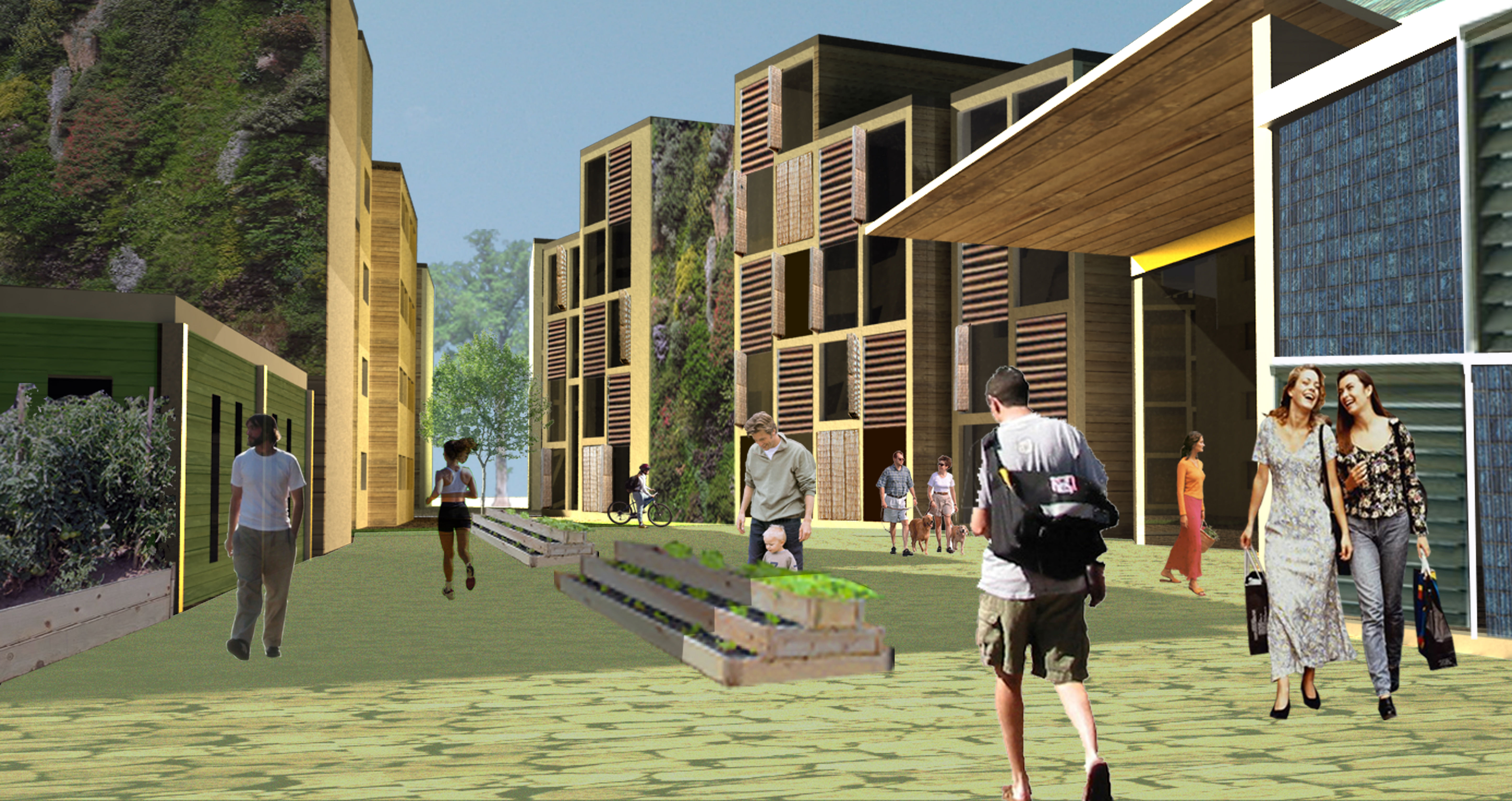 丨美国加利福尼亚-0