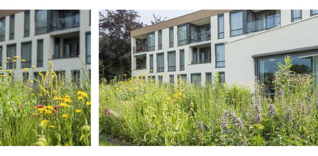 Prairie bedrijfstuin Hengelo - Denkers in Tuinen-9