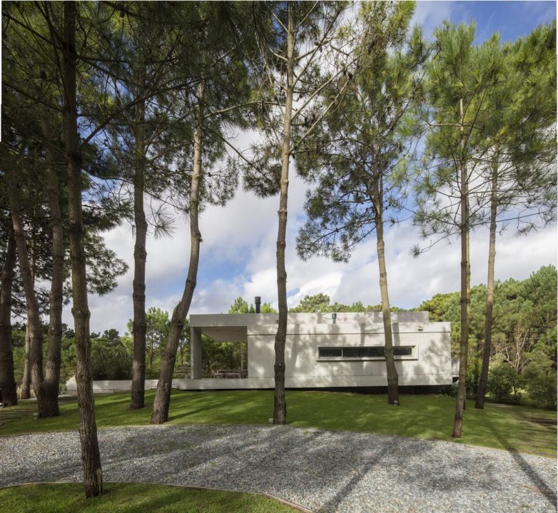 House With Ten Pines（库察萨德塞特博罗瓦）丨阿根廷丨Estudio Frolik-38