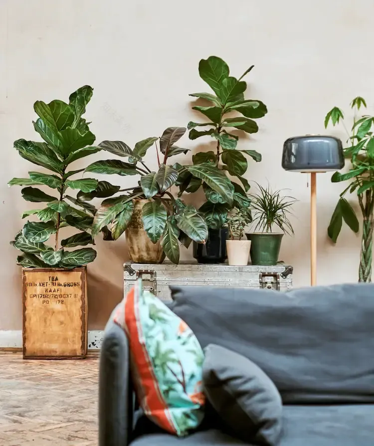 伦敦隐藏之家-3