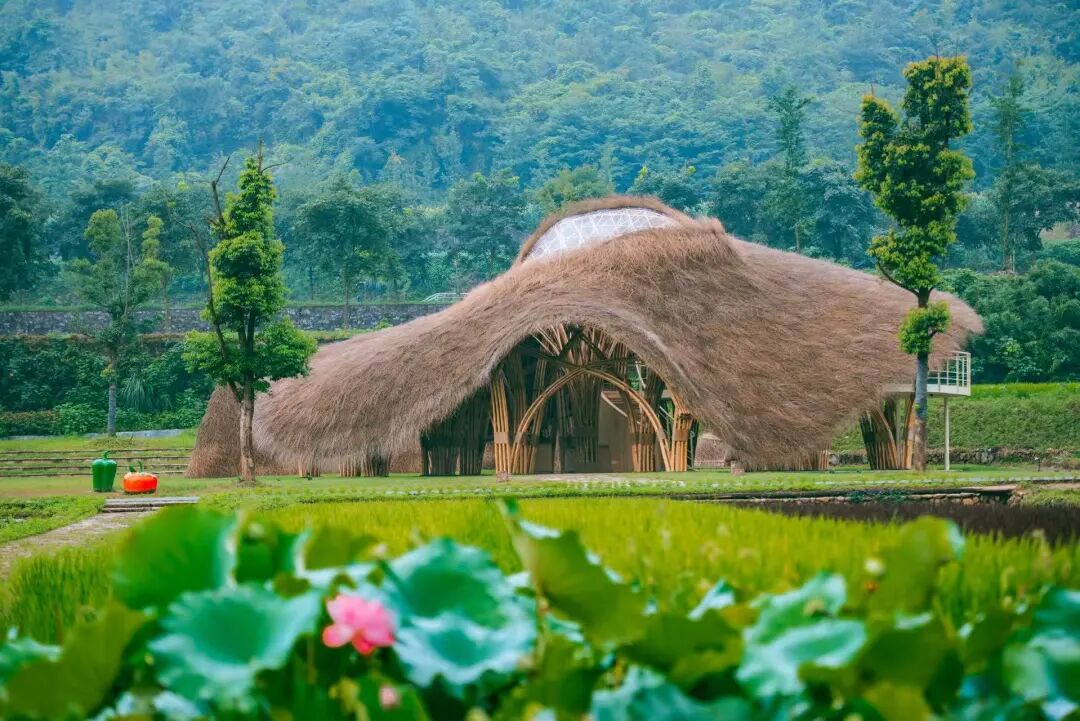 竹境案例|绿筠轩-2