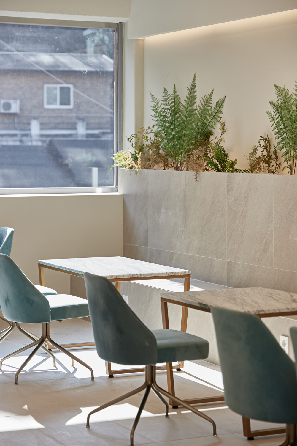 首尔 60 平现代宠物咖啡厅设计-19