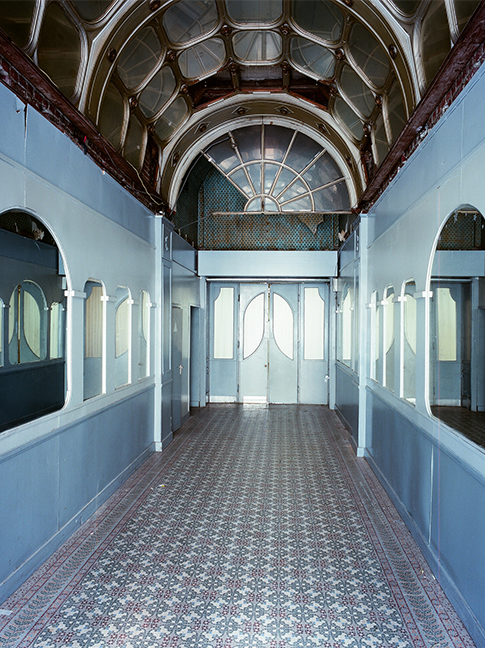 Aegidium修复项目-14