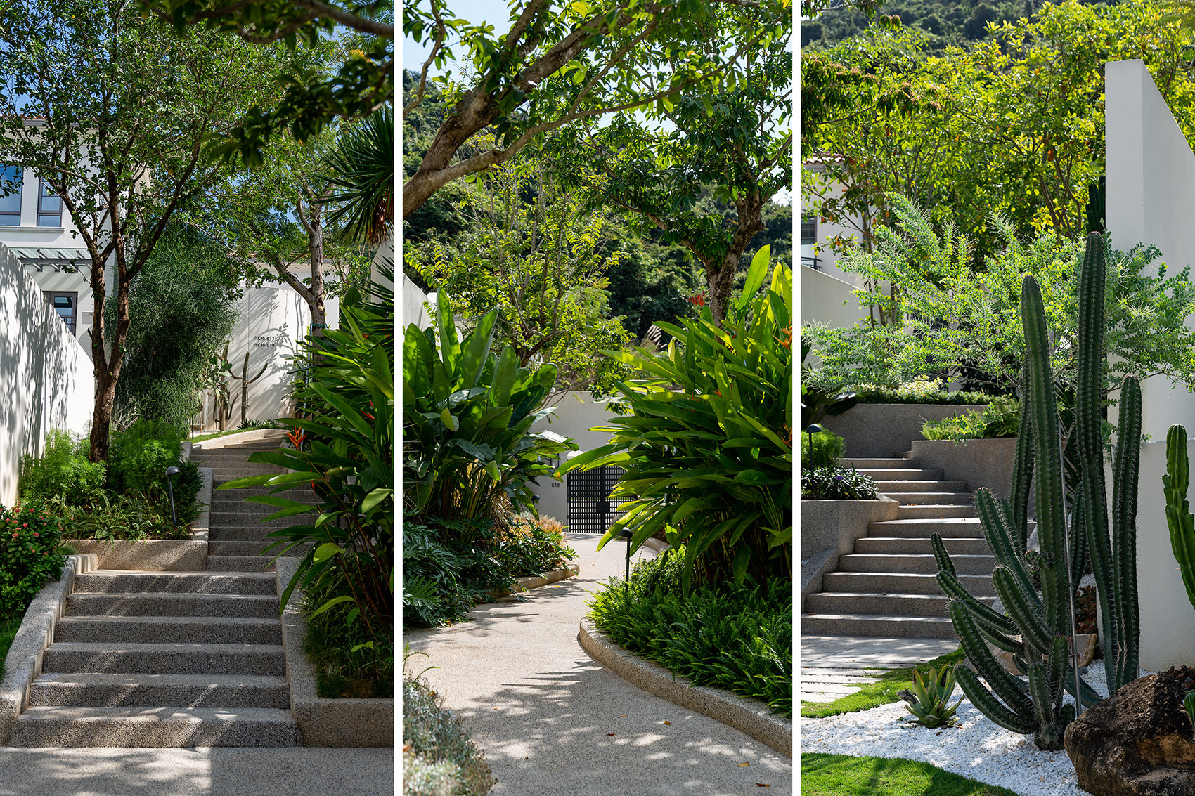 阿那亚三亚南花园丨中国三亚丨Z’scape致舍景观-73