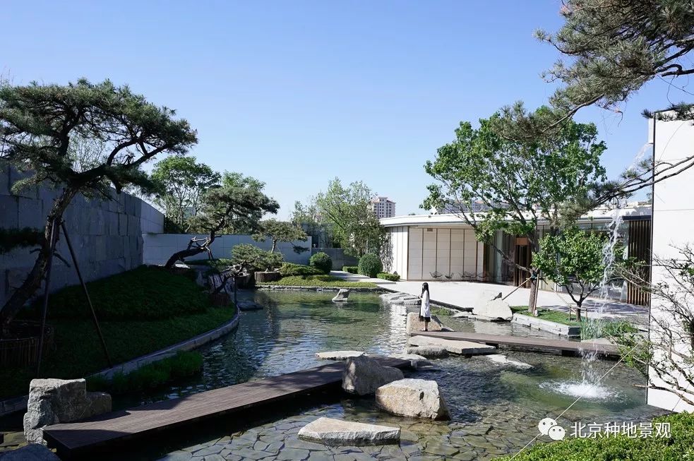 芝麻开门 一池藏三 | 合景·天汇广场示范区-52