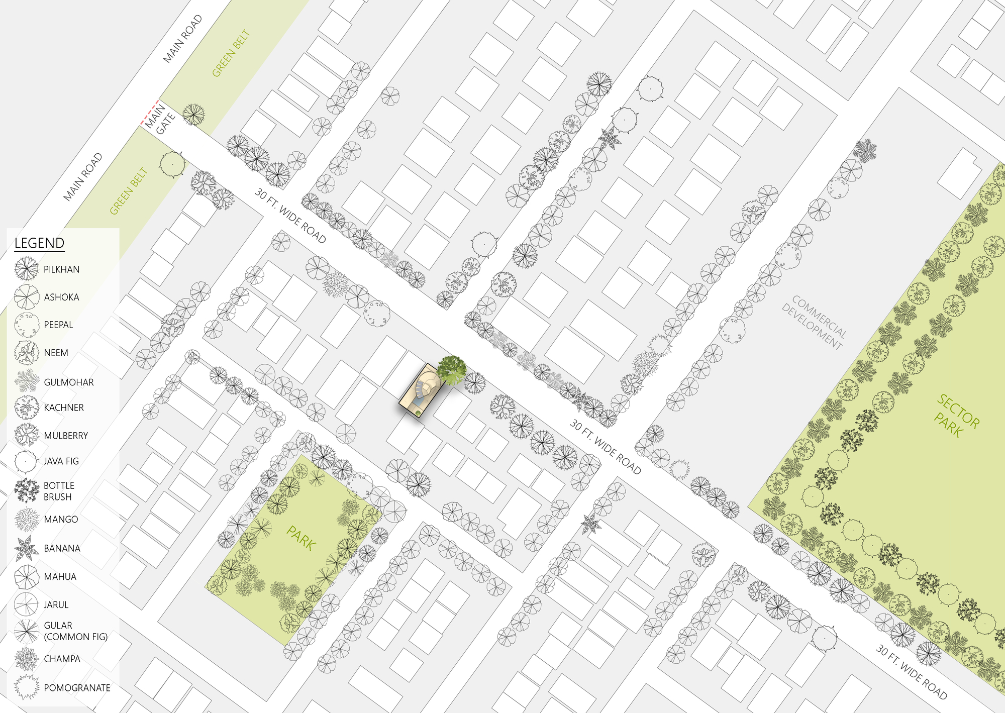 人树屋丨印度丨Archiopteryx-49