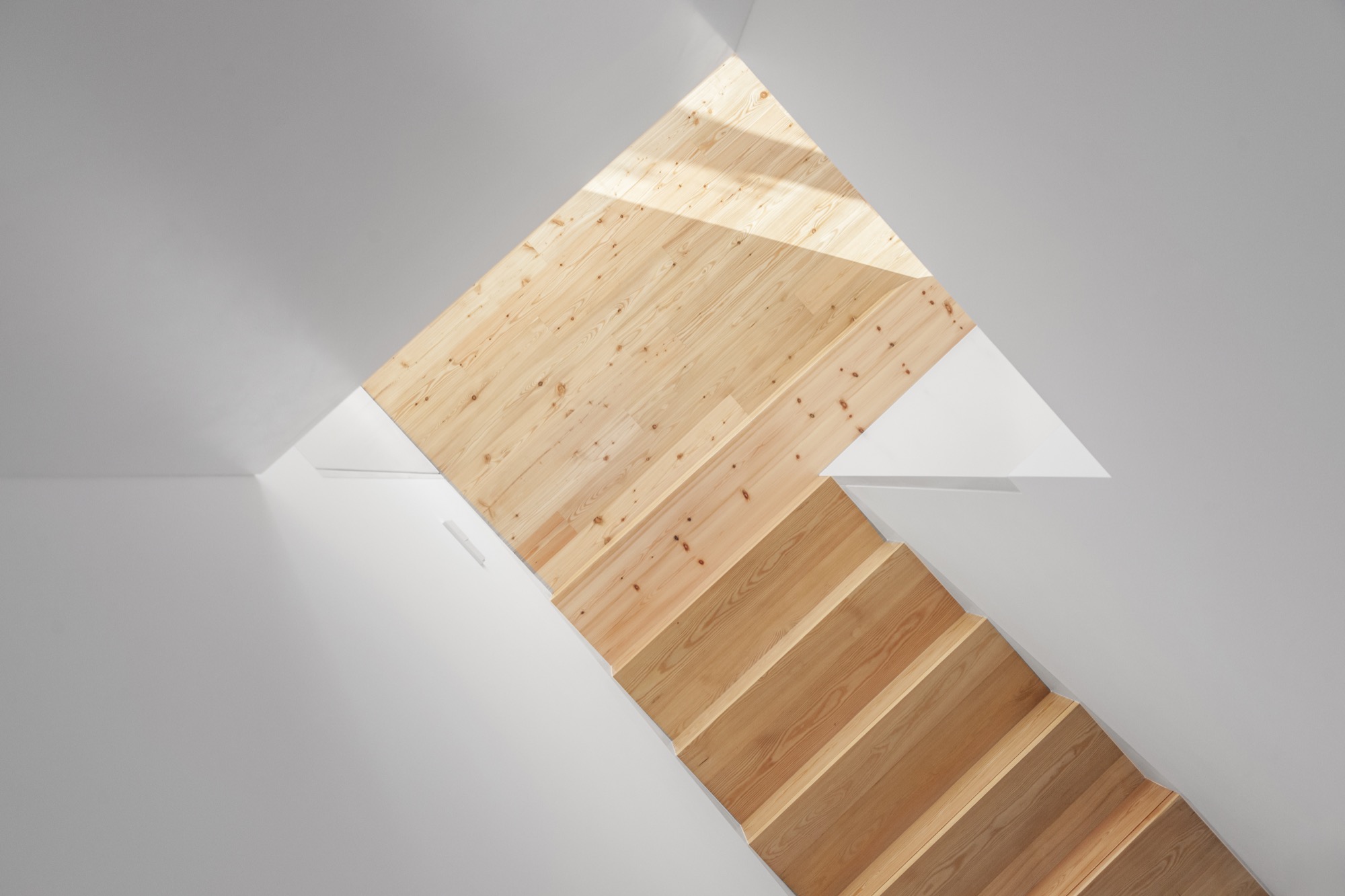 融入地形的葡萄牙私人住宅-43