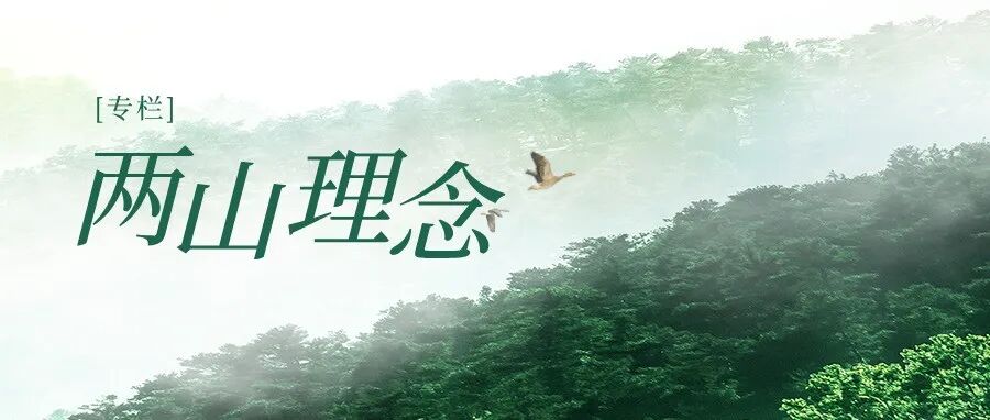 全国“土地日”|我院助力海曙区横街-古林片区入选自然资源部第三批全域土地综合整治典型案例-82