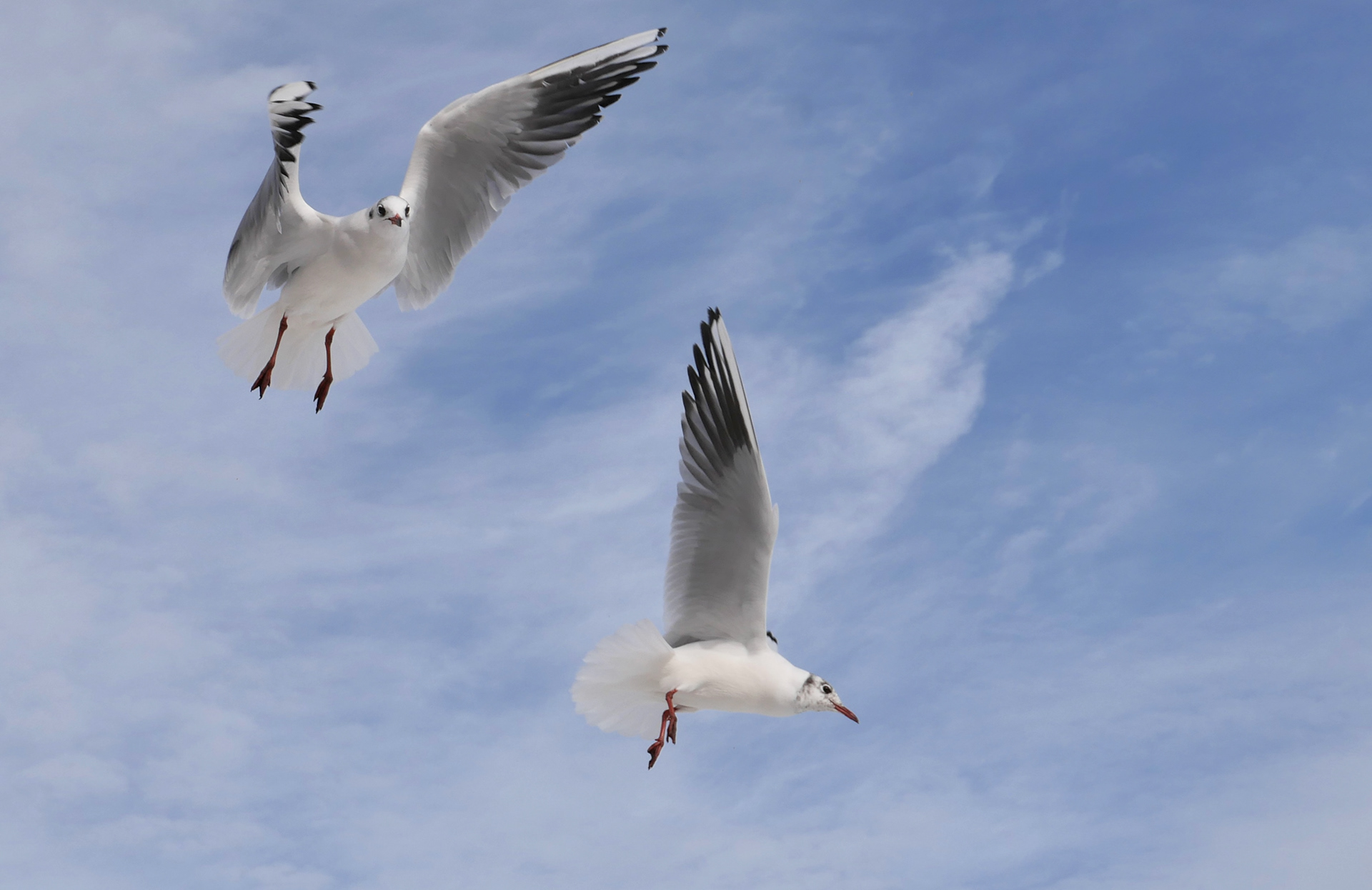 无明确体现丨无相关信息-5