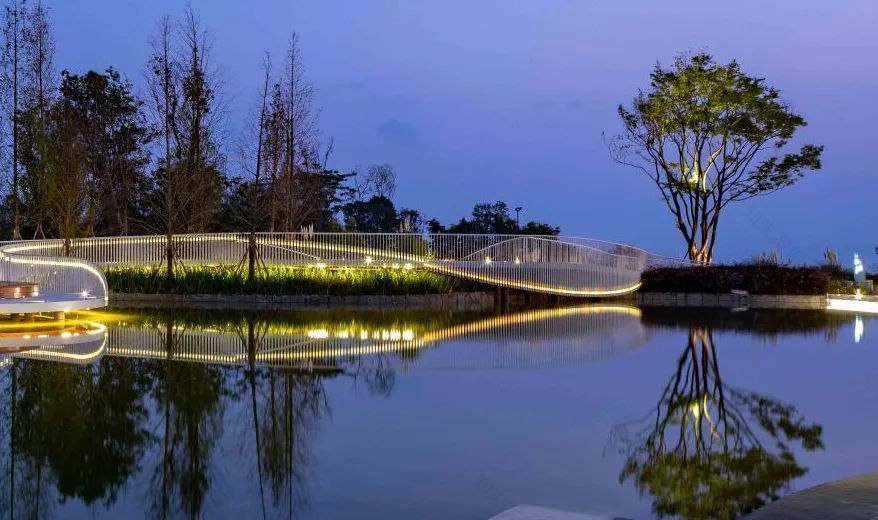 抚仙湖星空小镇 | 生态修复的人与自然和谐共生典范-99