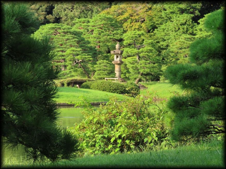 六义园丨日本京都-15
