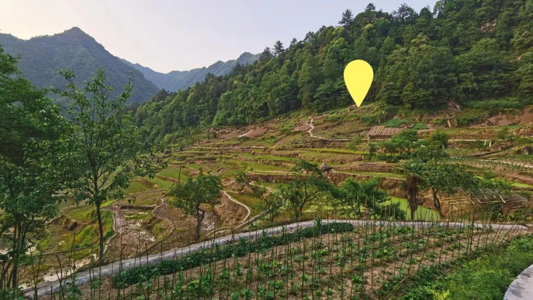 《青榭竹里》 | 即兴创作实践,重拾建筑温度-29