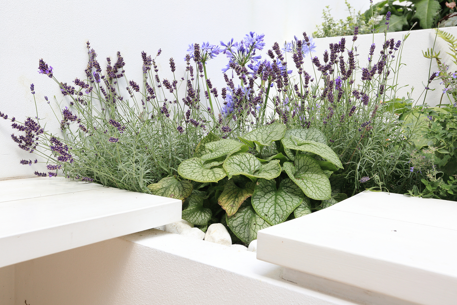 私人住宅的扩建-27