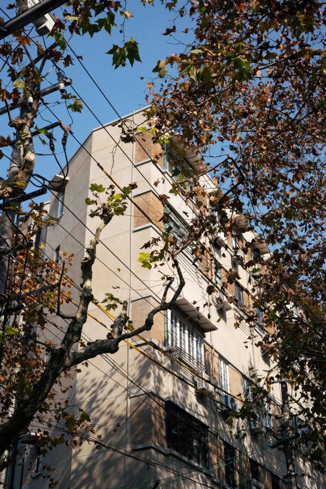 良友公寓保护修缮工程丨中国上海丨华东建筑设计研究院有限公司历史建筑保护设计院-80