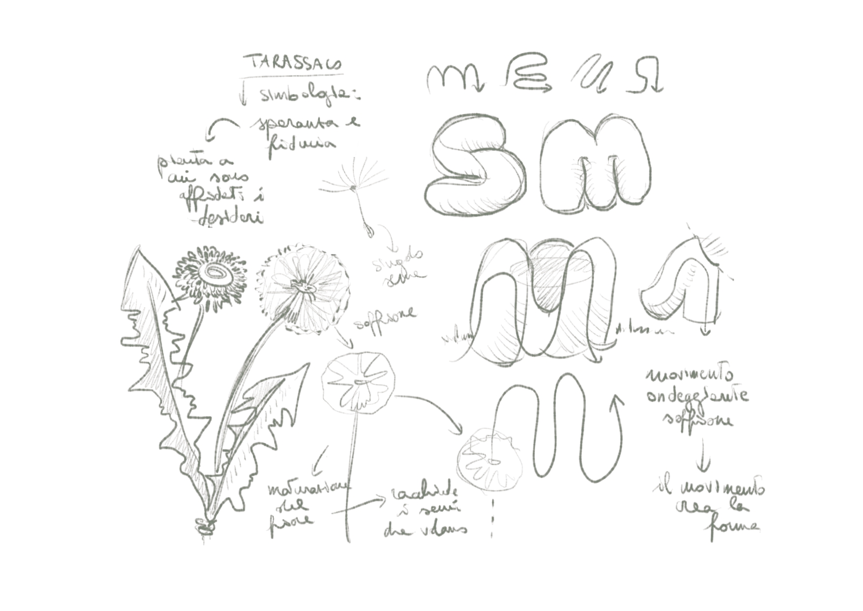 Salentina 长椅概念设计丨意大利-9