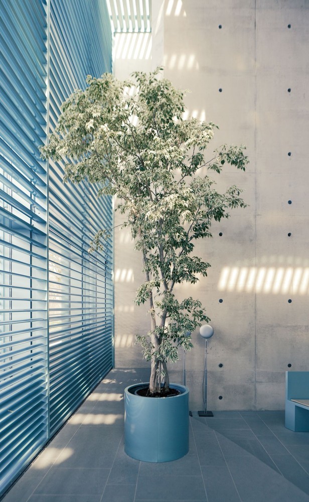 柏林殡仪建筑之光-28