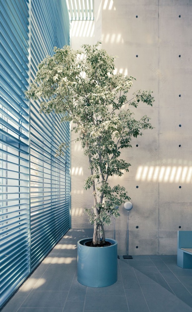 柏林殡仪建筑之光-28