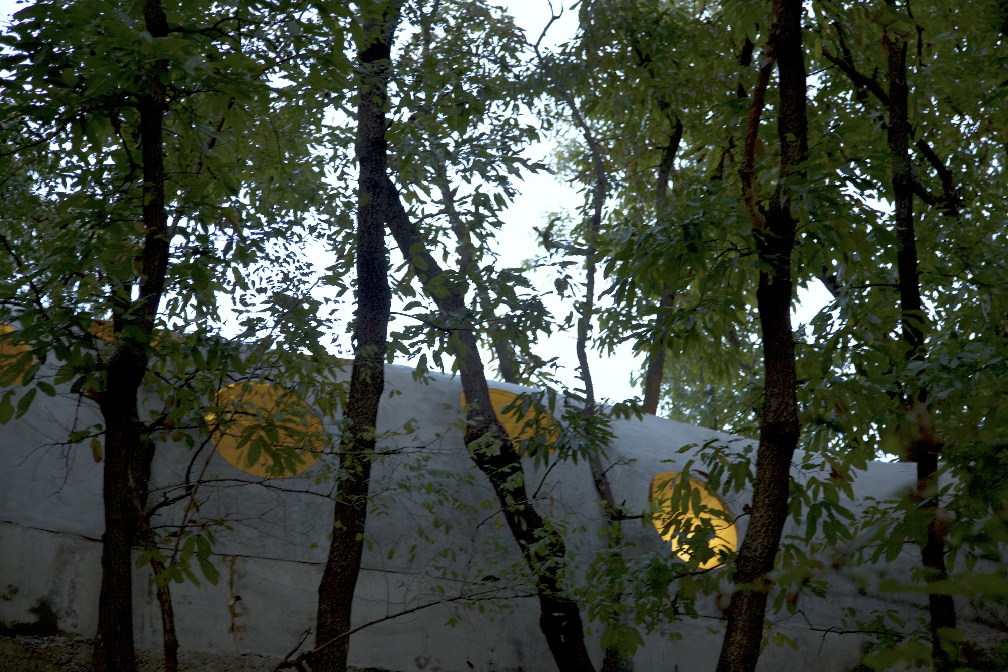 卧虎藏龙美术馆丨中国日照丨孔祥伟工作室-70