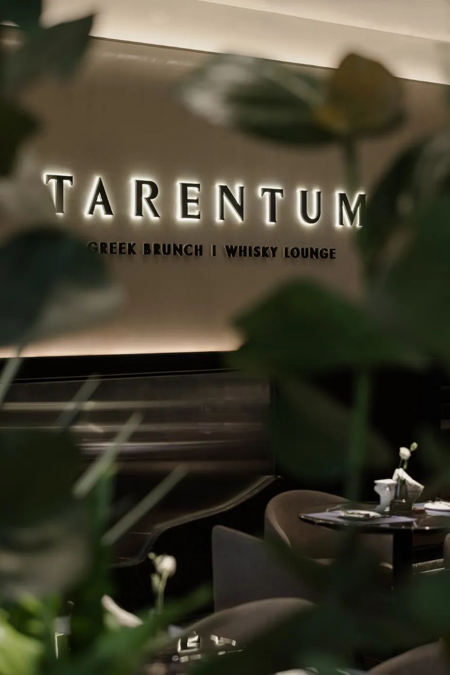 TARENTUM 萄木深圳海上世界店丨中国深圳丨RBD 瑞本空间-59