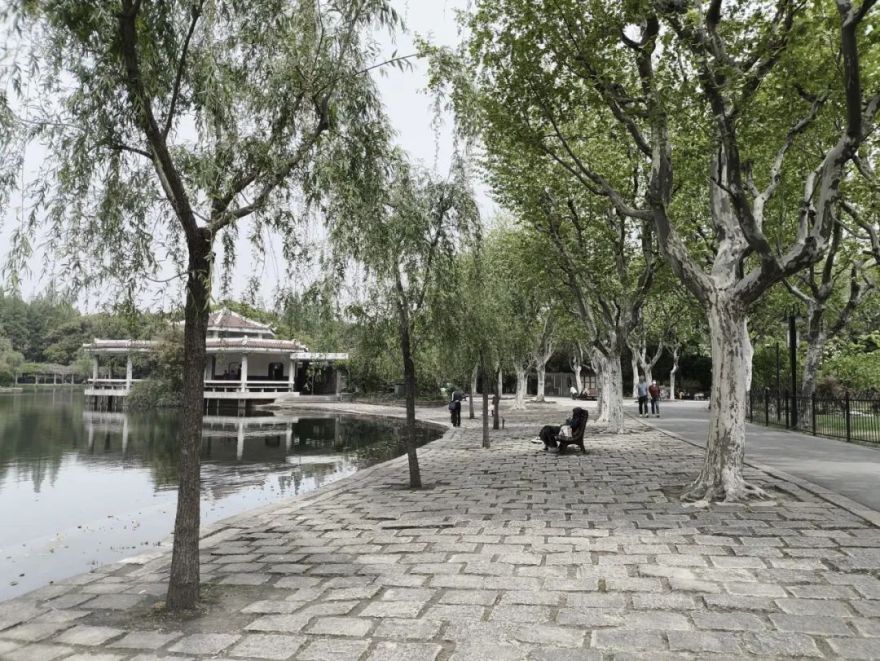 中国园林·理事专栏|“拓”之力量:杨浦公园改造纪实(三)-27