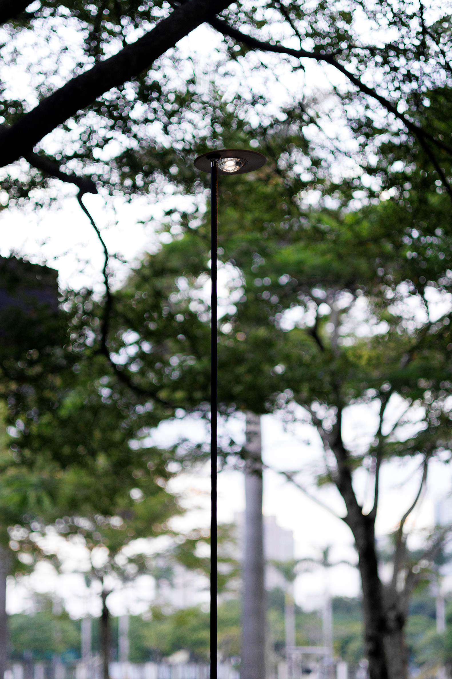 BASAO 白鹭洲丨中国厦门丨Neutra Architects-55