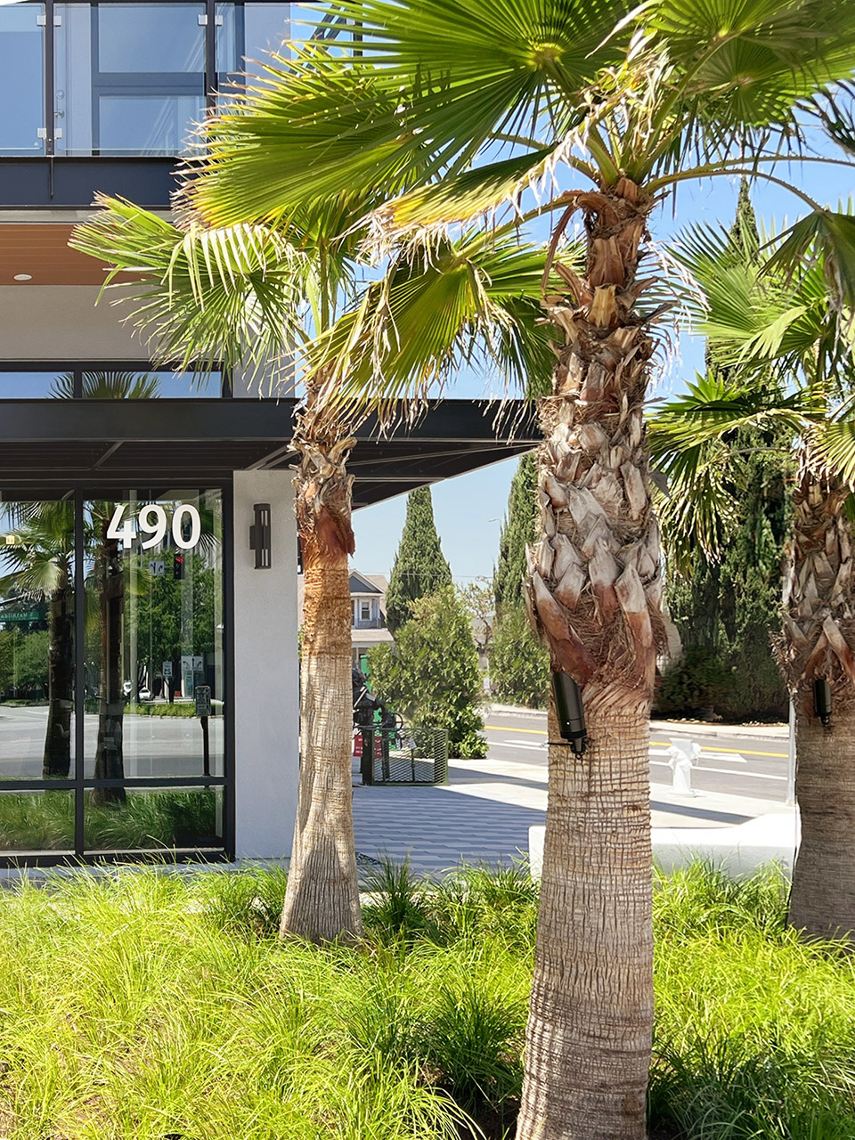 Danny's 餐厅上空花园丨美国加利福尼亚丨Spiegel Aihara Workshop (SAW)-28