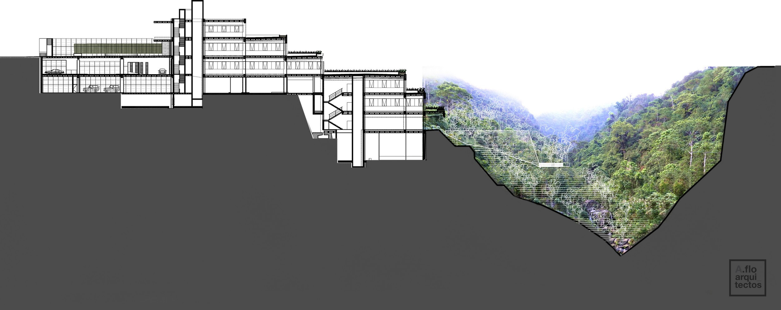 墨西哥城市区里的绿色家园-21